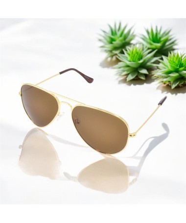 Gafas Conti Aviator IV